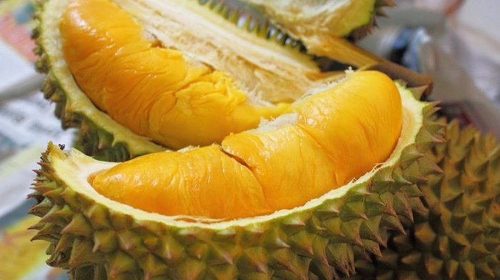 Durian