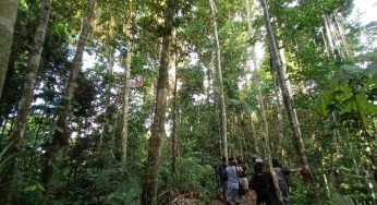 Pesona Kampung Sawe Suma: Keindahan Sederhana, Ketenangan, dan Kelezatan Papeda Papua