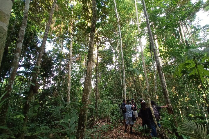 Kampung Sawe Suma, Papua