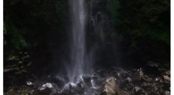 Eksplorasi Keindahan Alam: 6 Air Terjun Terindah dan Eksotis di Malang