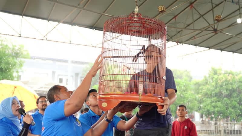 Lomba Burung