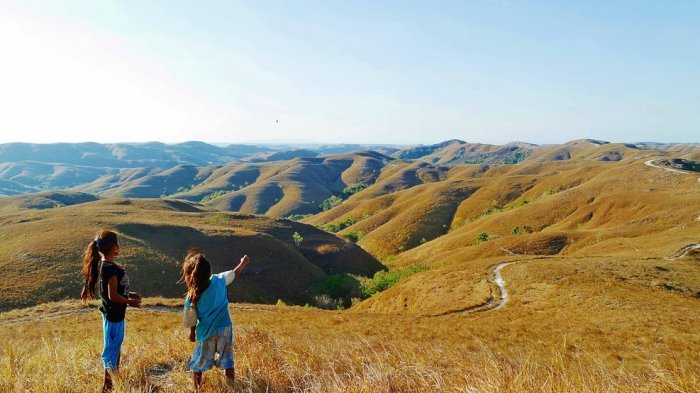 Bukit Teletubbies