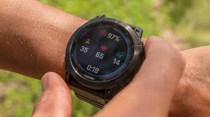 Garmin