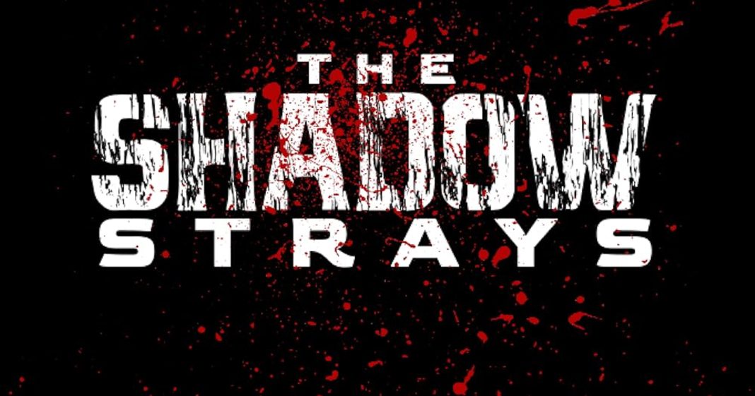 The Shadow Strays