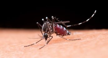 Waspada DBD di Musim Hujan! Ini 5 Cara Mudah Melindungi Diri dari Gigitan Nyamuk