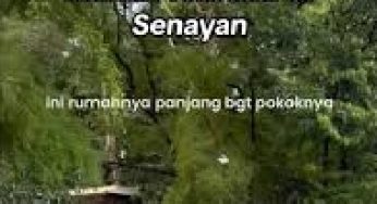 Rumah Terbesar di Senayan Viral, Luasnya Setara Dua Kelurahan!. Ternyata Punya Orang Ternama