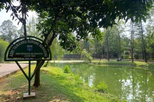 Taman di Jakarta Timur